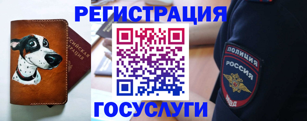 временная регистрация в квартире в Георгиевске